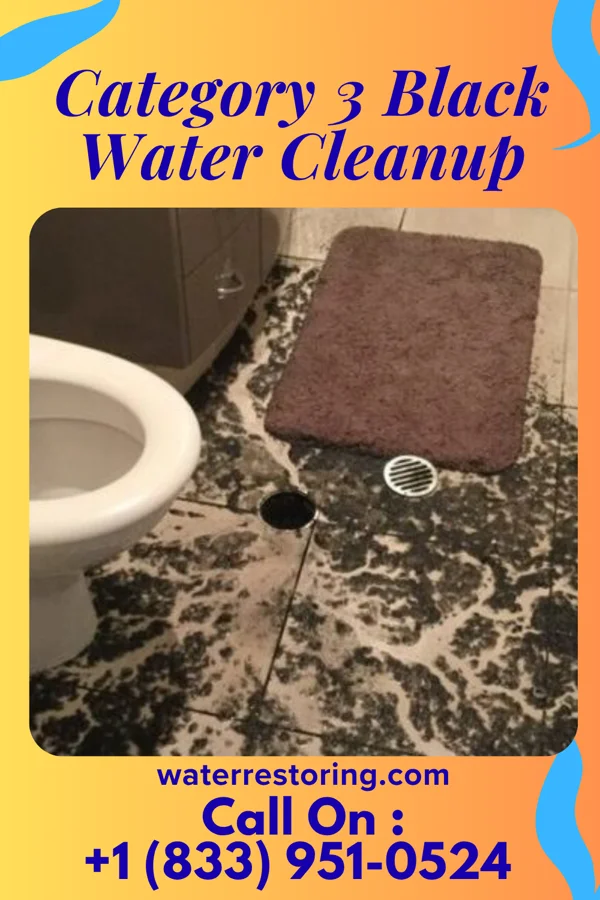 Category 3 Black Water Cleanup in Dixon, KY