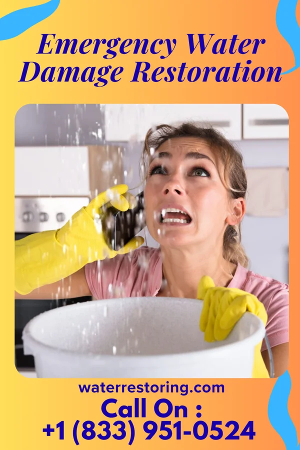 Emergency Water Damage Restoration in Dixon, KY