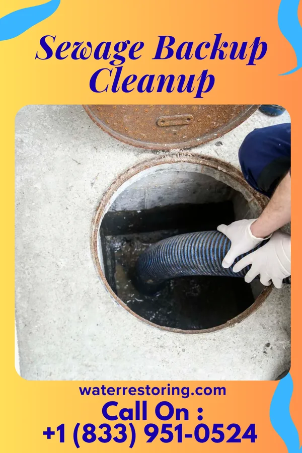 Sewage Backup Cleanup in Dixon, KY
